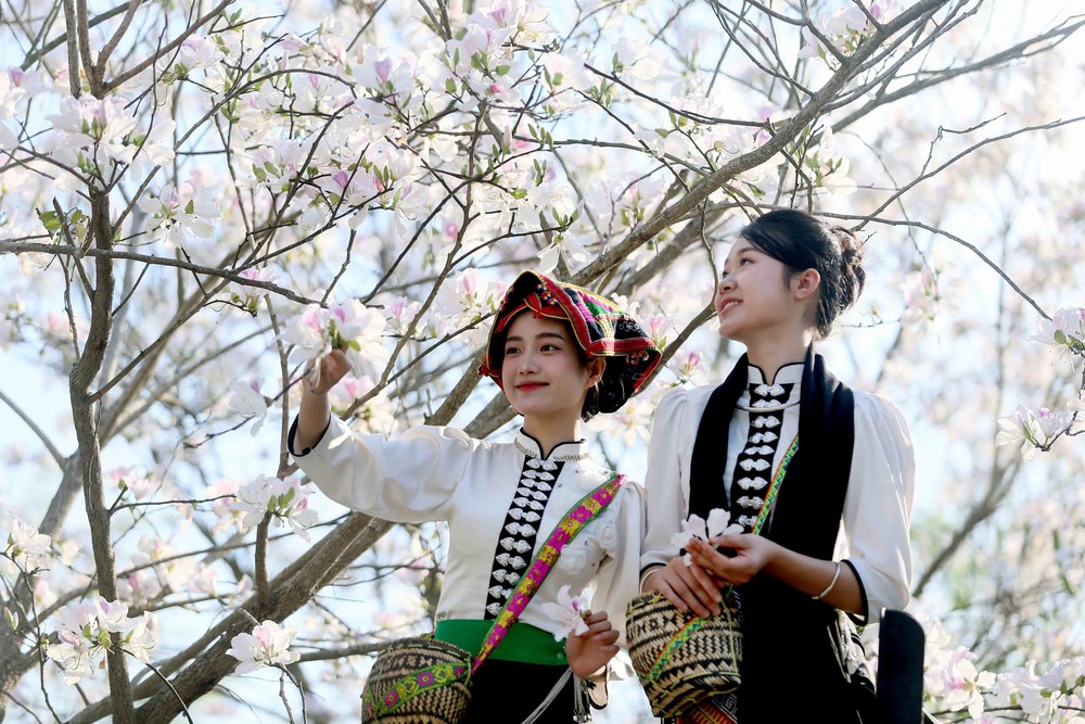 Hoa ban nở trắng níu chân du khách đến Sơn La - Ảnh 11.