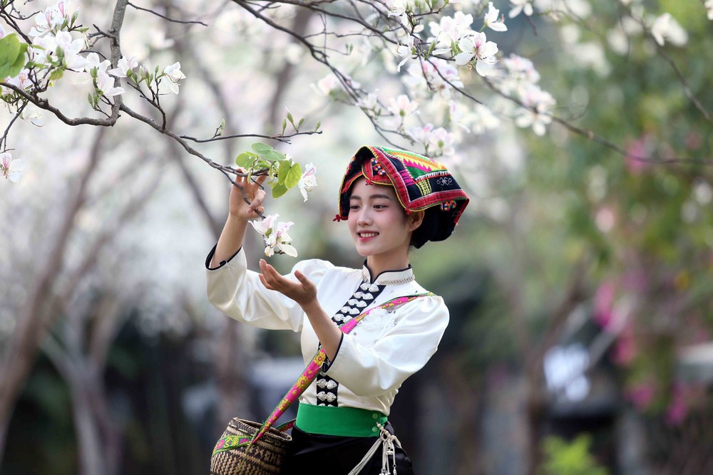 Hoa ban nở trắng níu chân du khách đến Sơn La - Ảnh 8.