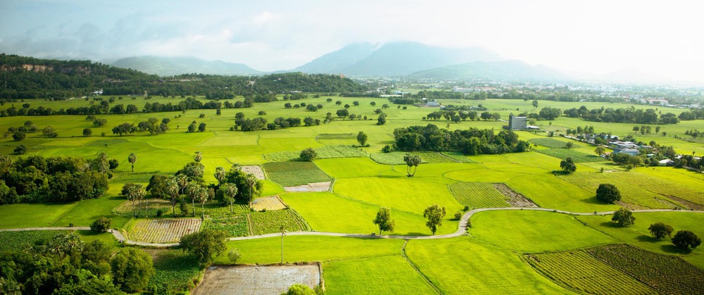 "Tài" - Điểm sáng hành động, xúc động tình thân - Ảnh 4. "Tài" - Điểm sáng hành động, xúc động tình thân - Ảnh 4.