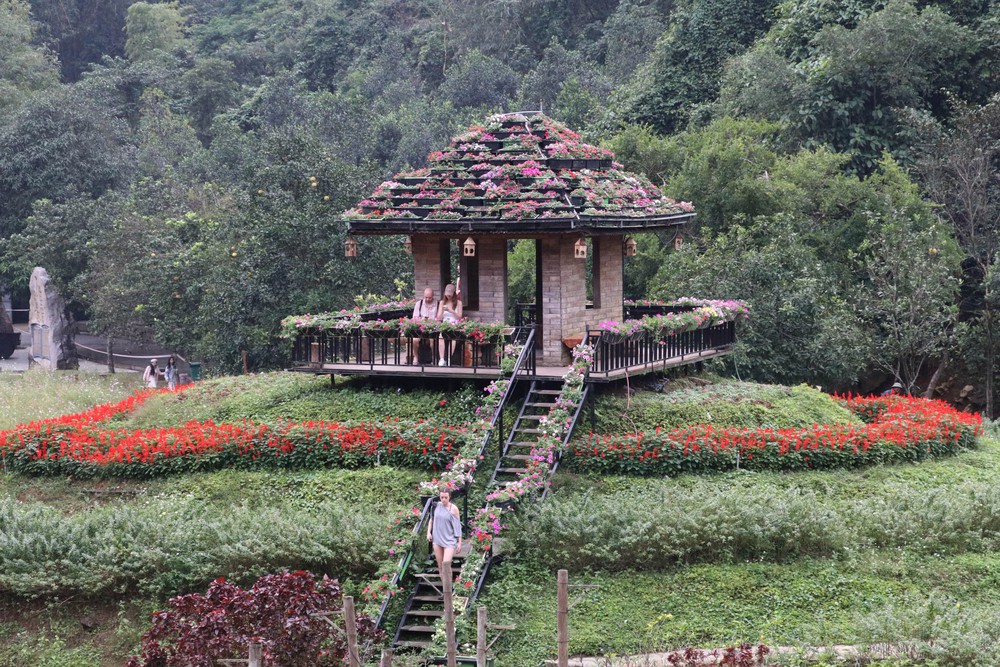 "Đảo hoa" khoe sắc giữa thiên nhiên di sản - Ảnh 1.