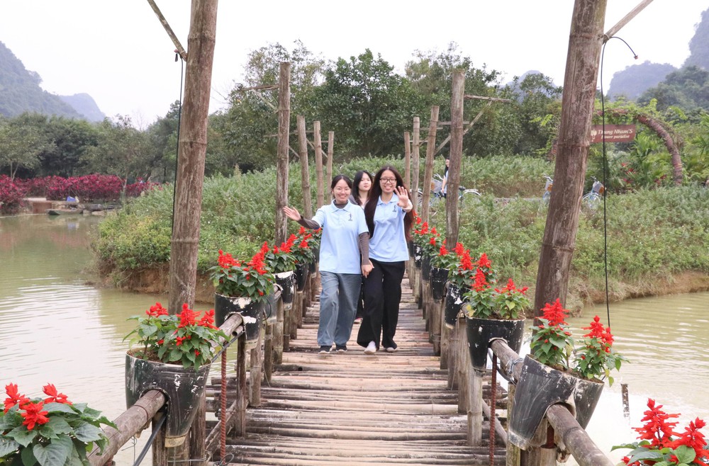 "Đảo hoa" khoe sắc giữa thiên nhiên di sản - Ảnh 5.