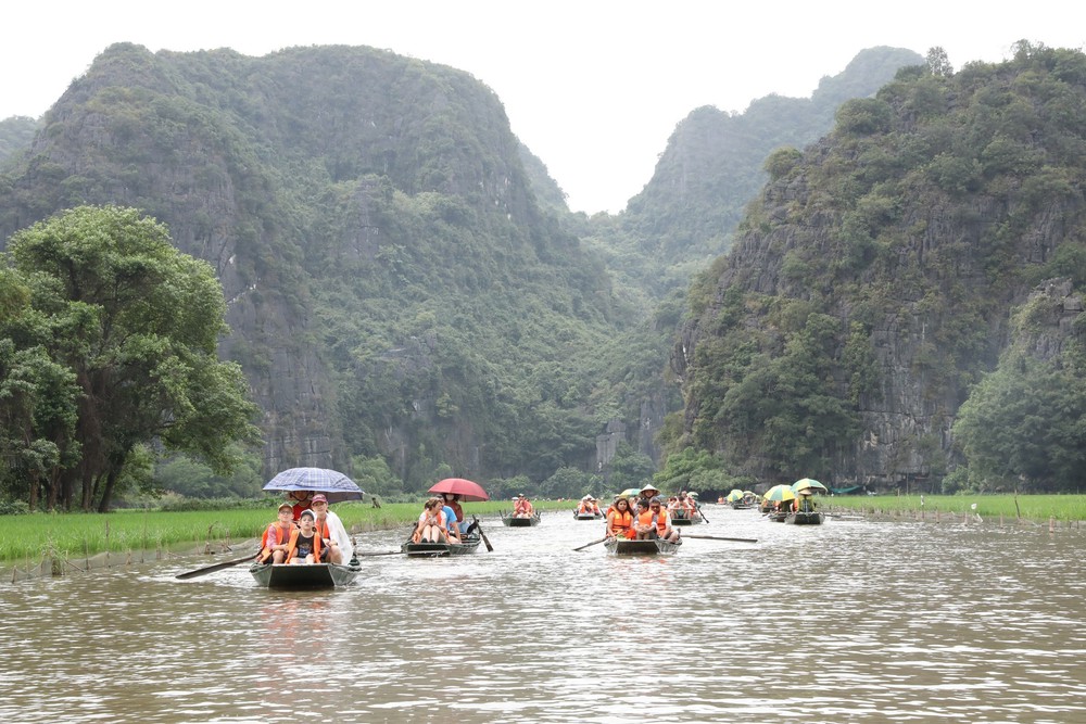 Ninh Bình dệt bức tranh bằng lúa khổ lớn giữa muôn trùng núi non - Ảnh 3.