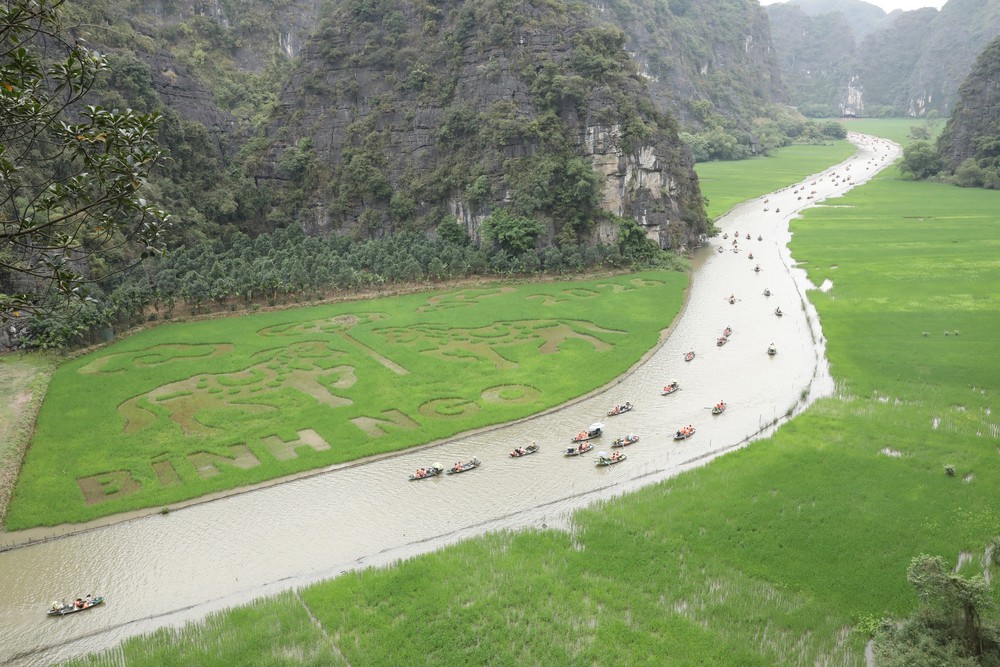 Ninh Bình dệt bức tranh bằng lúa khổ lớn giữa muôn trùng núi non - Ảnh 1.