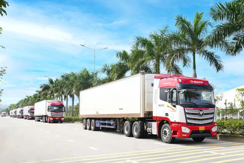 THILOGI tối ưu giải pháp chuỗi lạnh cho trái cây tươi xuất khẩu - Ảnh 2.