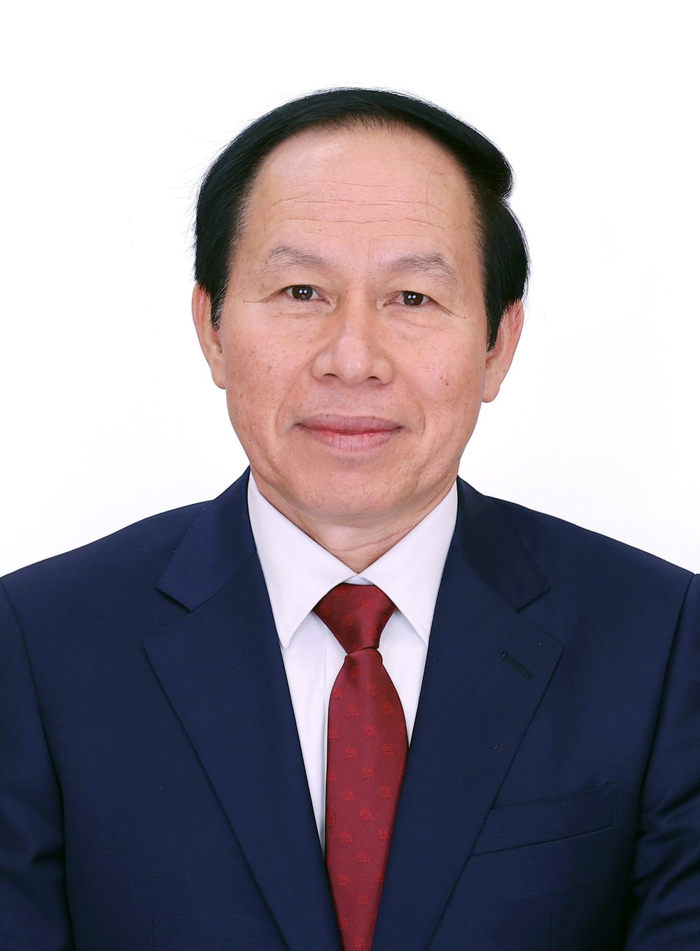 Phân công công tác của Thủ tướng Chính phủ và các Phó Thủ tướng Chính phủ - Ảnh 8.