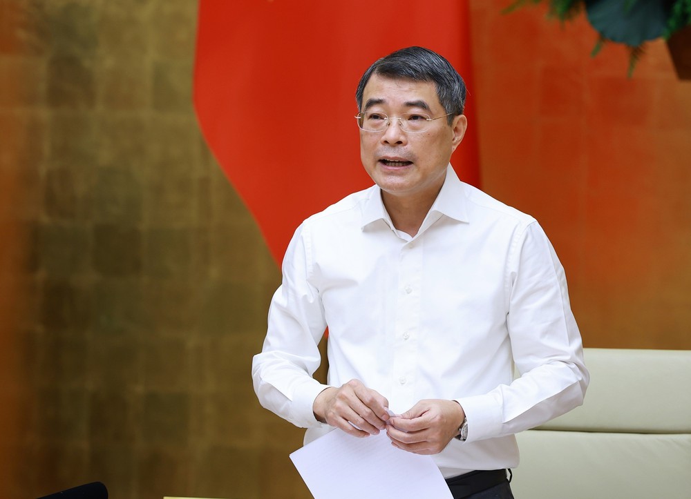 Phân công công tác của Thủ tướng Chính phủ và các Phó Thủ tướng Chính phủ - Ảnh 2.