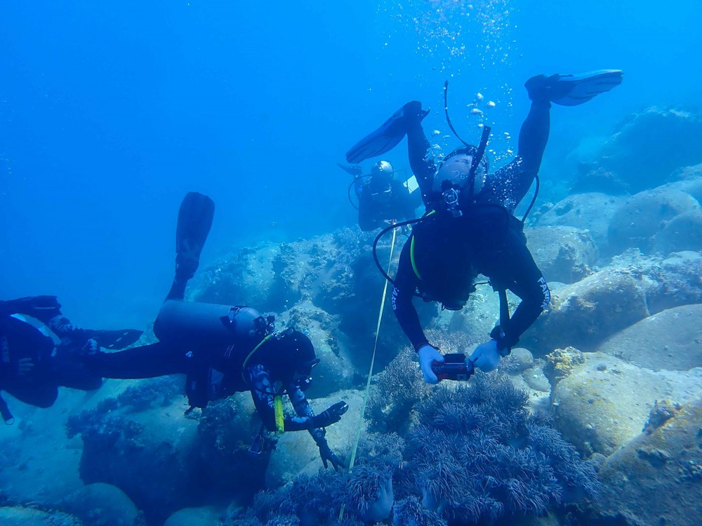 Khách du lịch cùng thả rùa biển quý hiếm bị mắc lưới về môi trường tự nhiên - Ảnh 2.