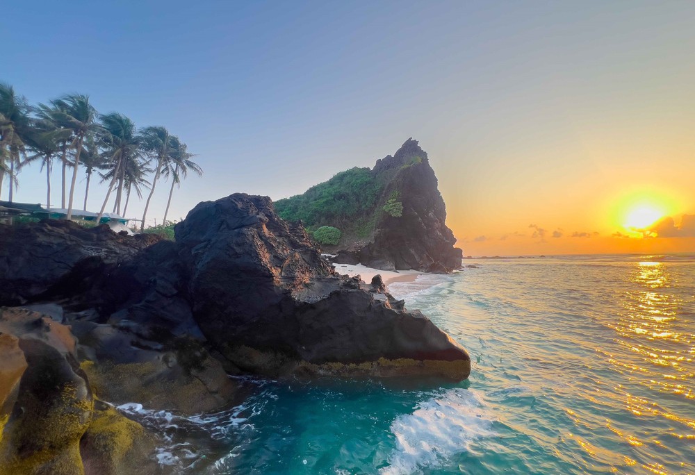 Khách du lịch cùng thả rùa biển quý hiếm bị mắc lưới về môi trường tự nhiên - Ảnh 1.