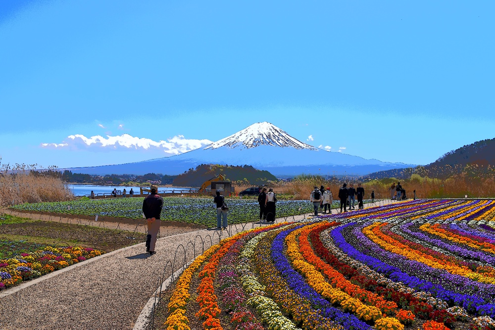 Núi Phú Sĩ mùa hoa anh đào nở rộ - Ảnh 3. Núi Phú Sĩ mùa hoa anh đào nở rộ - Ảnh 3.