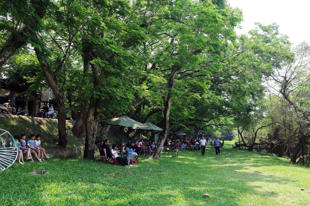 Đà Nẵng: Người dân “trốn” nắng cực gắt dưới bóng cây xanh - Ảnh 2.