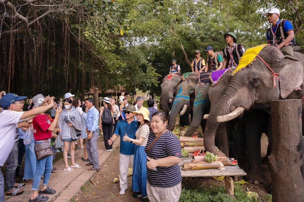 Tết cổ truyền Bunpimay 2569 tại "xứ sở voi" Buôn Đôn, tỉnh Đắk Lắk - Ảnh 8. Tết cổ truyền Bunpimay 2569 tại "xứ sở voi" Buôn Đôn, tỉnh Đắk Lắk - Ảnh 8.