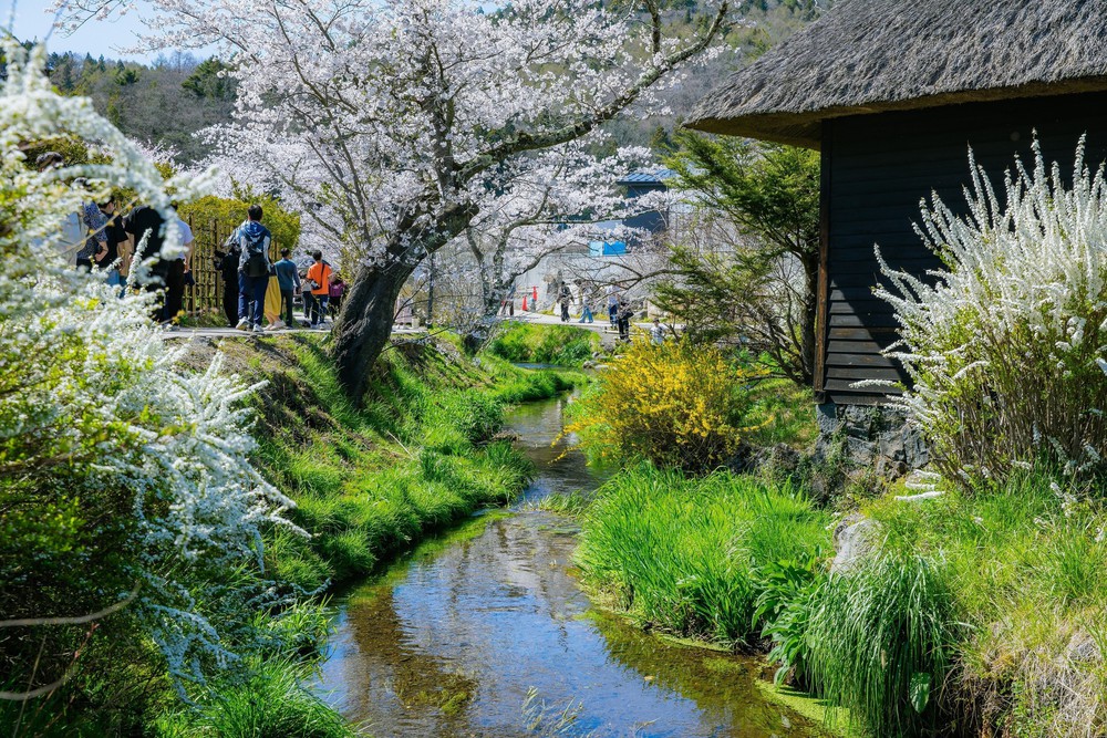 Vẻ đẹp cổ tích của Oshino Hakkai – ngôi làng cổ dưới chân núi Phú Sĩ, Nhật Bản - Ảnh 7.