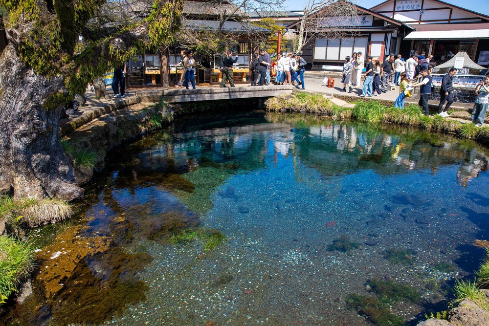 Vẻ đẹp cổ tích của Oshino Hakkai – ngôi làng cổ dưới chân núi Phú Sĩ, Nhật Bản - Ảnh 6.