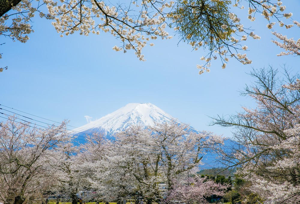 Vẻ đẹp cổ tích của Oshino Hakkai – ngôi làng cổ dưới chân núi Phú Sĩ, Nhật Bản - Ảnh 10.