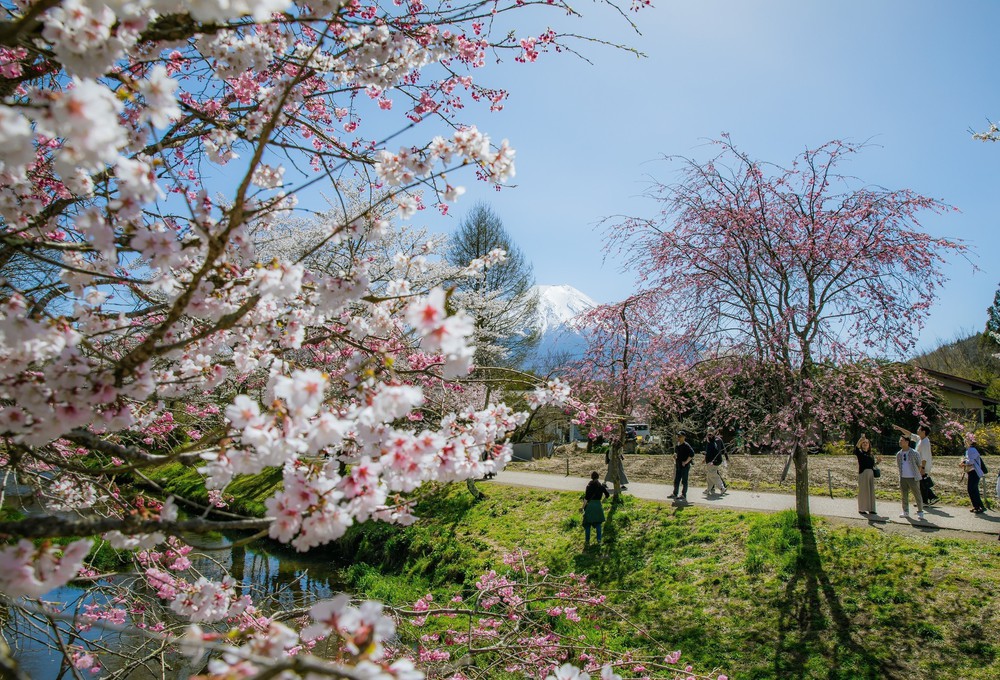 Vẻ đẹp cổ tích của Oshino Hakkai – ngôi làng cổ dưới chân núi Phú Sĩ, Nhật Bản - Ảnh 5.