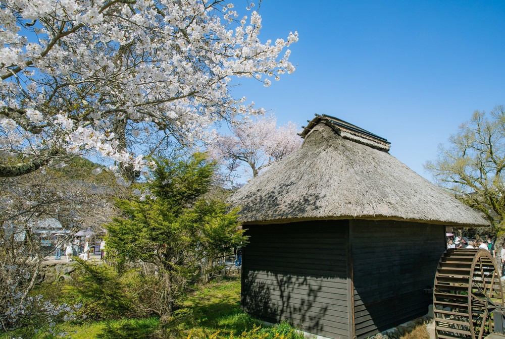 Vẻ đẹp cổ tích của Oshino Hakkai – ngôi làng cổ dưới chân núi Phú Sĩ, Nhật Bản - Ảnh 4.