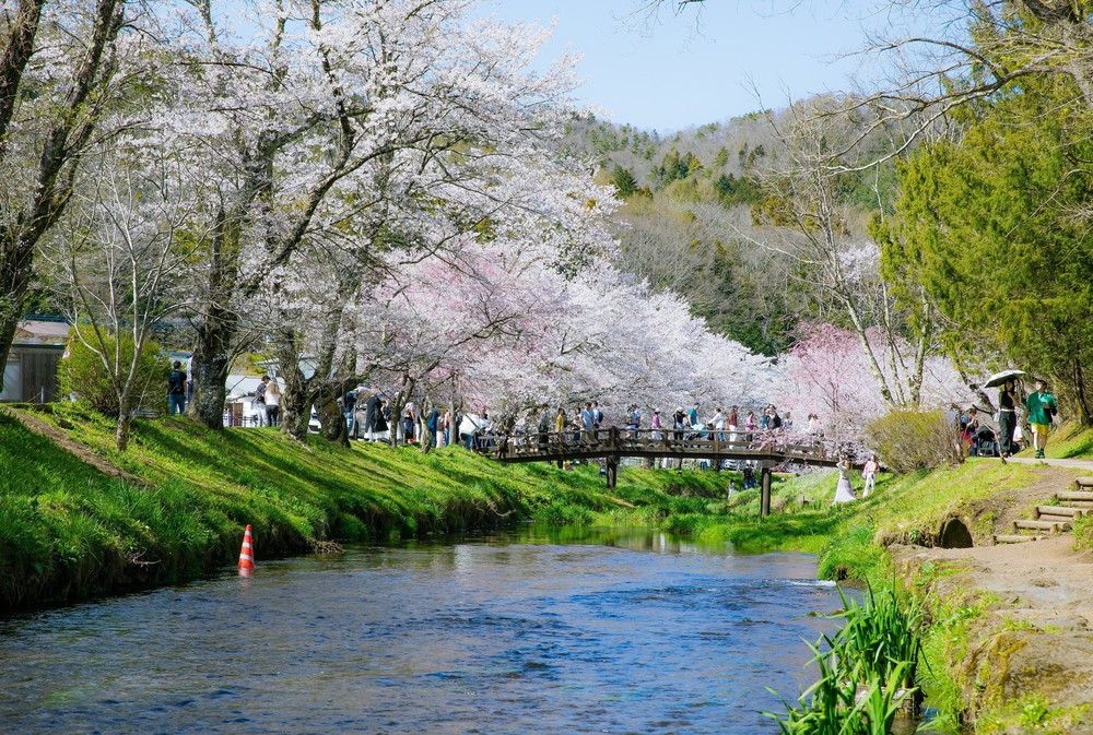 Vẻ đẹp cổ tích của Oshino Hakkai – ngôi làng cổ dưới chân núi Phú Sĩ, Nhật Bản - Ảnh 9.
