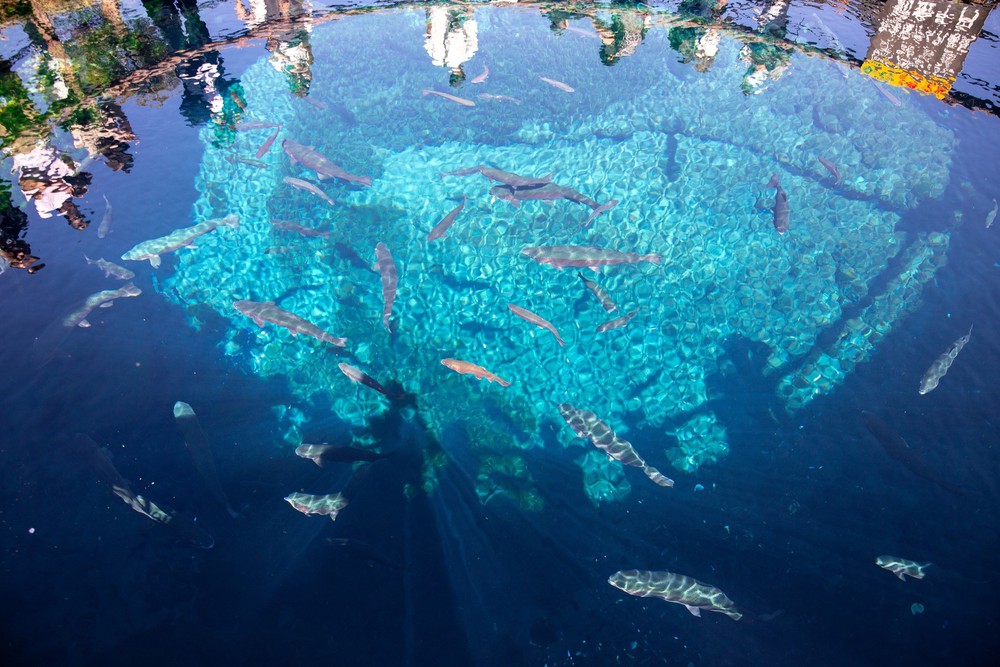 Vẻ đẹp cổ tích của Oshino Hakkai – ngôi làng cổ dưới chân núi Phú Sĩ, Nhật Bản - Ảnh 1.