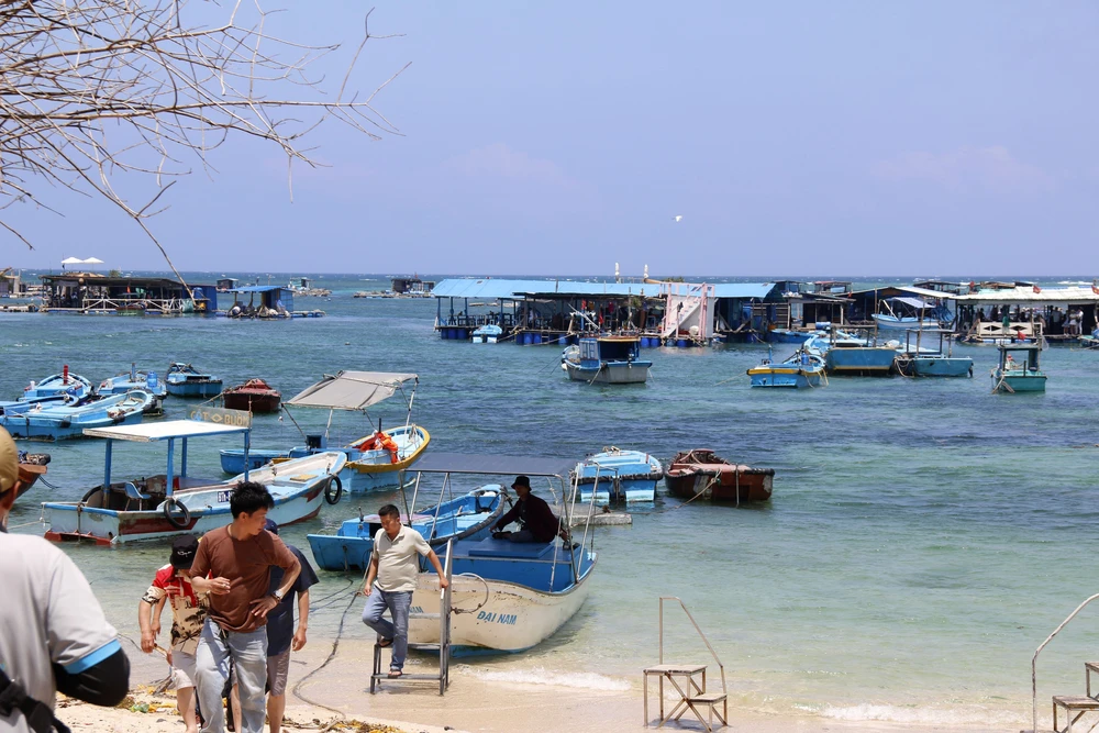 Kích cầu du lịch gắn với nâng cao chất lượng dịch vụ hút khách đến Lâm Đồng - Ảnh 2. Kích cầu du lịch gắn với nâng cao chất lượng dịch vụ hút khách đến Lâm Đồng - Ảnh 2.