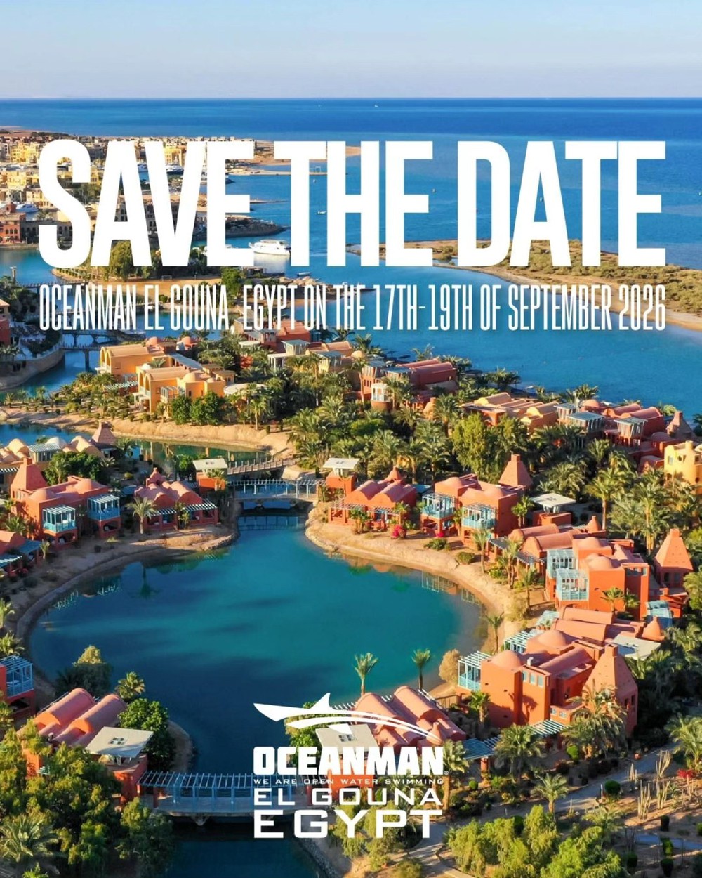 Giải bơi biển quốc tế Oceanman có gì 'hot' mà khiến Ánh Viên và hàng nghìn kình ngư mê mẩn? - Ảnh 2.