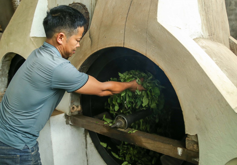 Chè Suối Giàng – từ di sản vùng cao đến thương hiệu Việt - Ảnh 9.