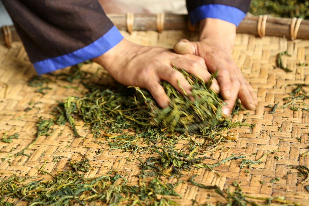 Chè Suối Giàng – từ di sản vùng cao đến thương hiệu Việt - Ảnh 7.