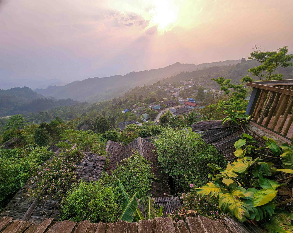 Chè Suối Giàng – từ di sản vùng cao đến thương hiệu Việt - Ảnh 1.