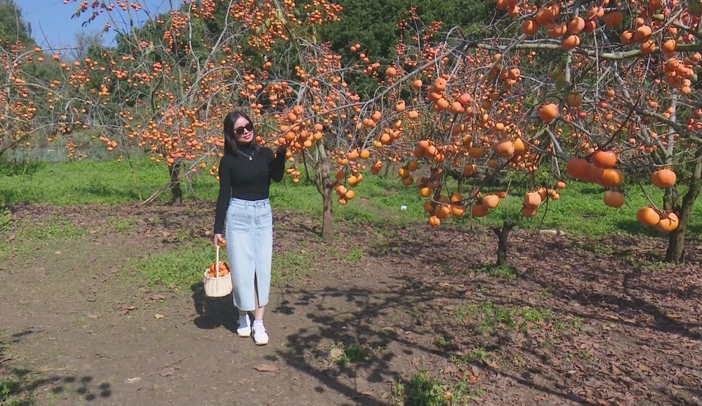 Đưa Mộc Châu trở thành điểm đến hấp dẫn của vùng Tây Bắc - Ảnh 1.