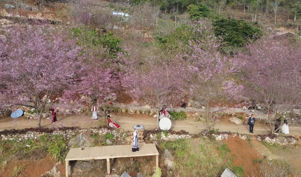 Đưa Mộc Châu trở thành điểm đến hấp dẫn của vùng Tây Bắc - Ảnh 3.