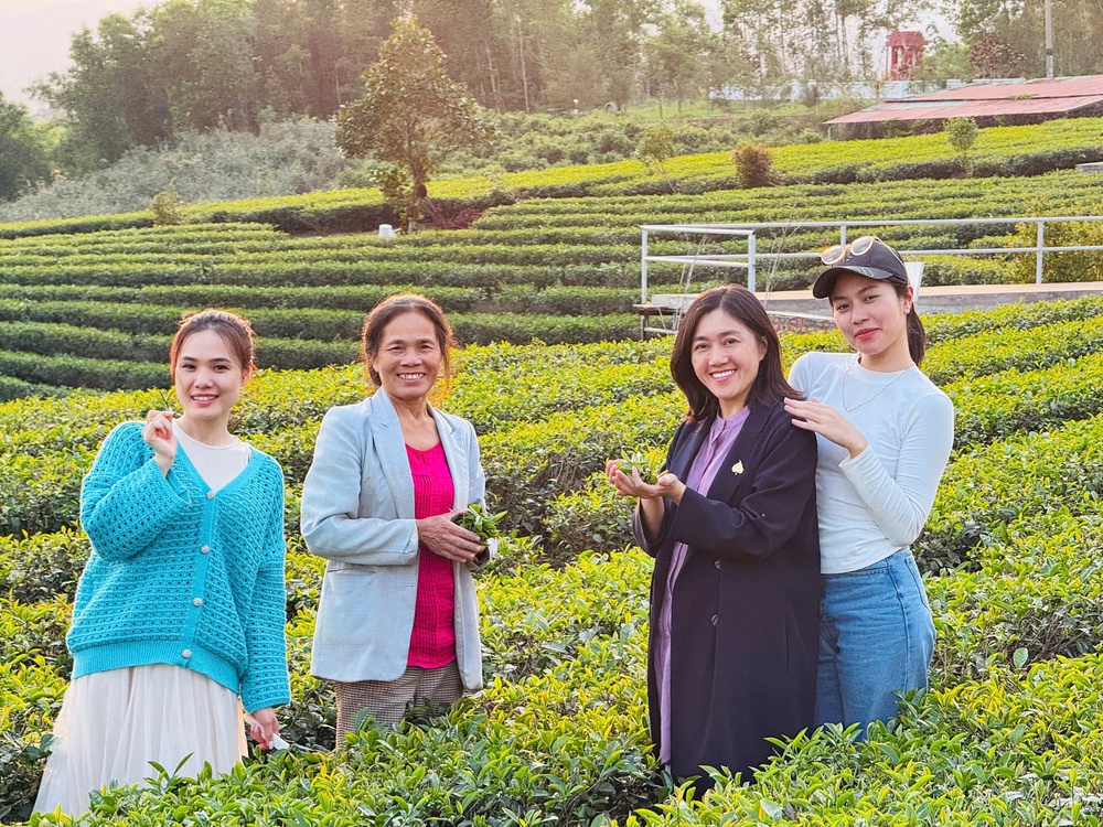 Giữ hồn trong lá trà.... giữa gió biển Quảng Ninh - Ảnh 2.