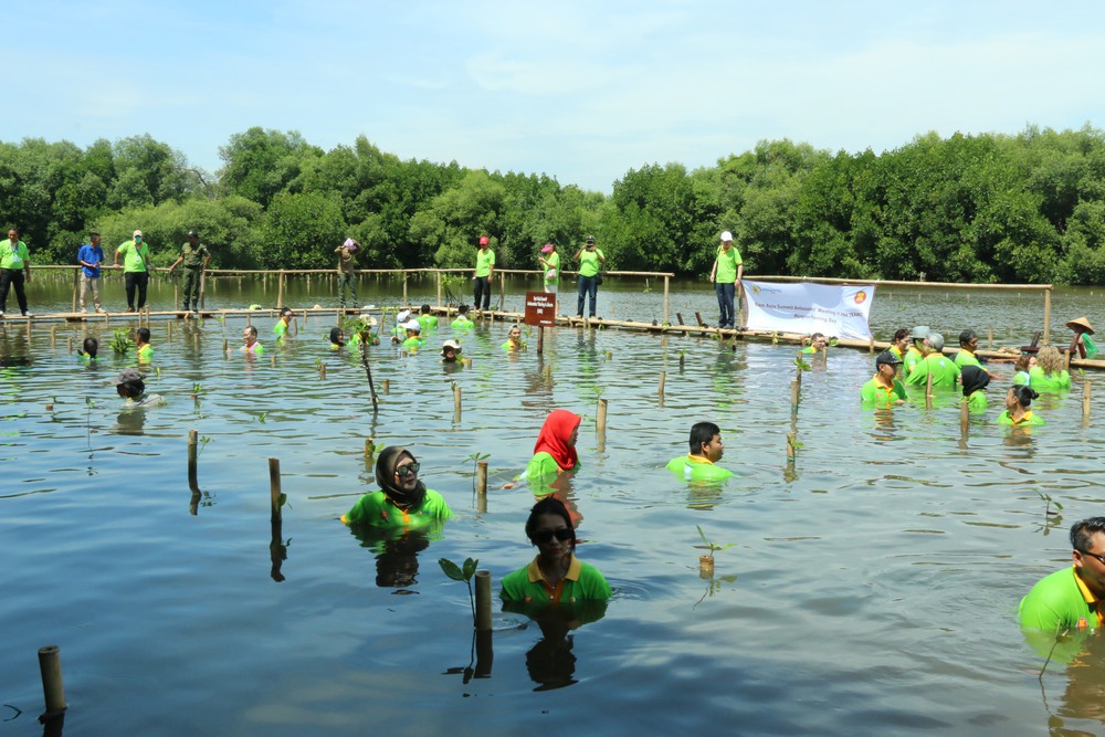 Indonesia hoàn thiện khung pháp lý, đẩy nhanh chương trình định giá carbon xanh - Ảnh 1.
