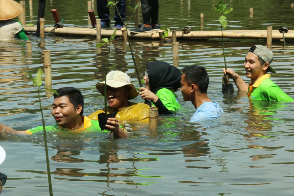 Indonesia hoàn thiện khung pháp lý, đẩy nhanh chương trình định giá carbon xanh - Ảnh 2.