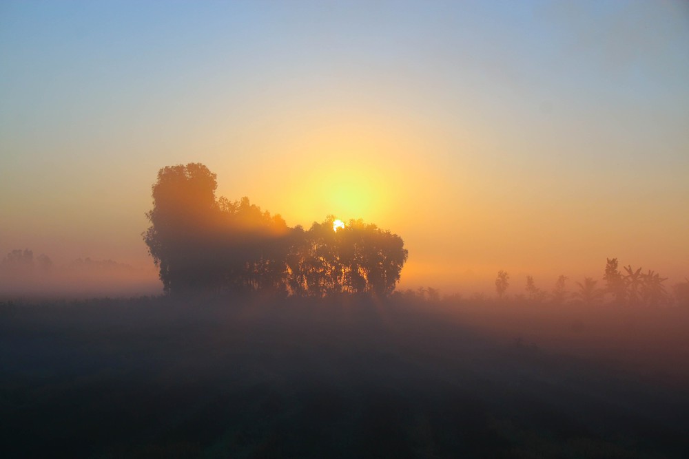 Vẻ đẹp thơ mộng miền quê Cần Thơ trong sương sớm - Ảnh 10.