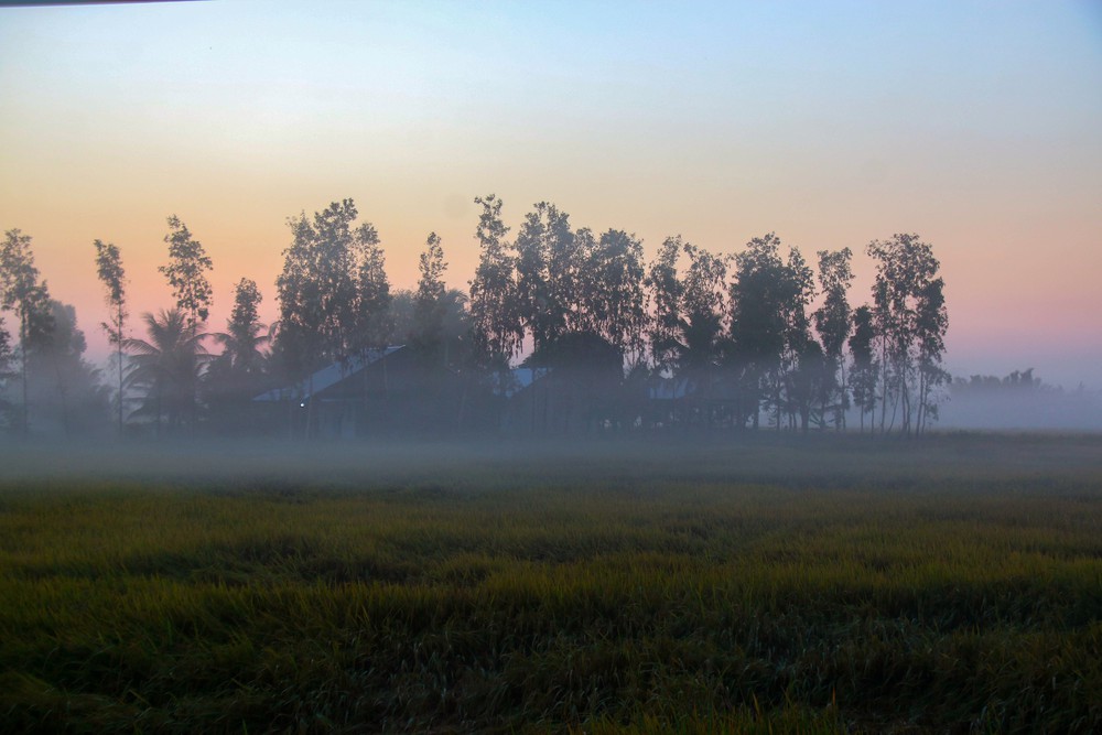 Vẻ đẹp thơ mộng miền quê Cần Thơ trong sương sớm - Ảnh 3.