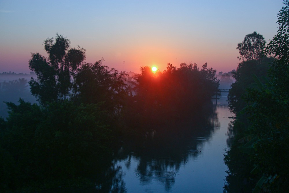 Vẻ đẹp thơ mộng miền quê Cần Thơ trong sương sớm - Ảnh 4.