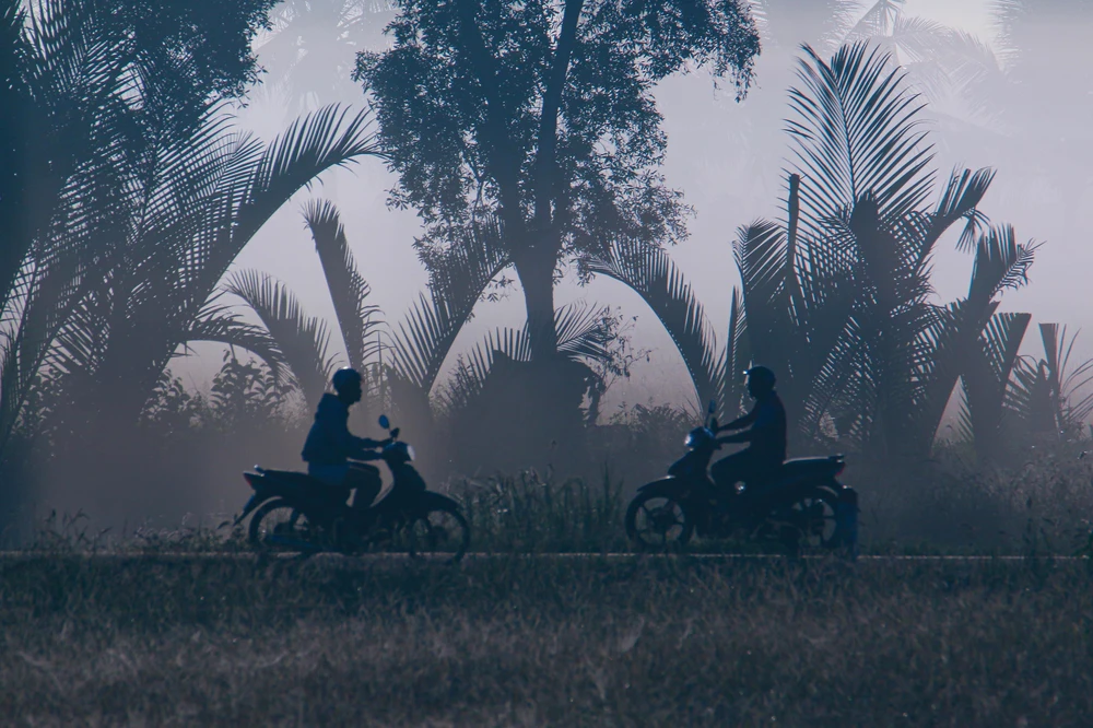 Vẻ đẹp thơ mộng miền quê Cần Thơ trong sương sớm - Ảnh 2.