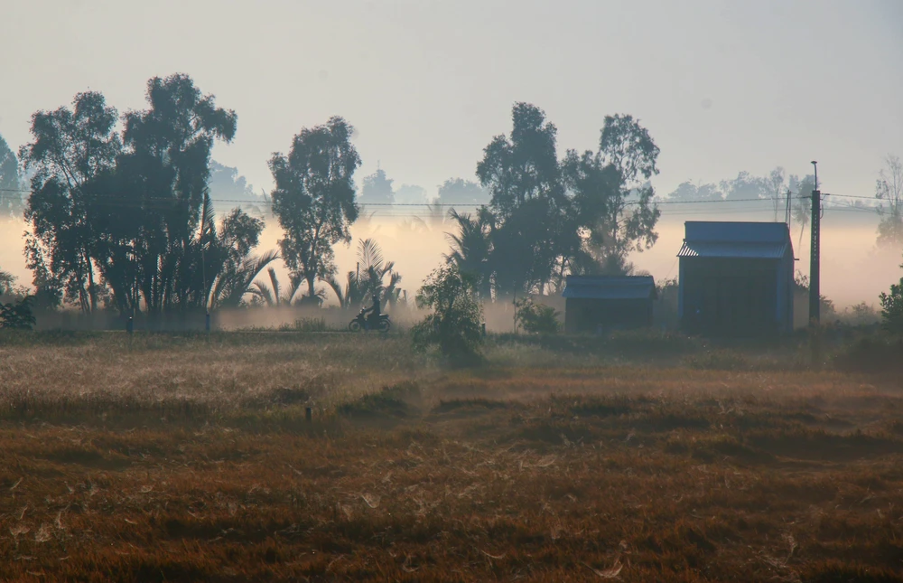 Vẻ đẹp thơ mộng miền quê Cần Thơ trong sương sớm - Ảnh 8.