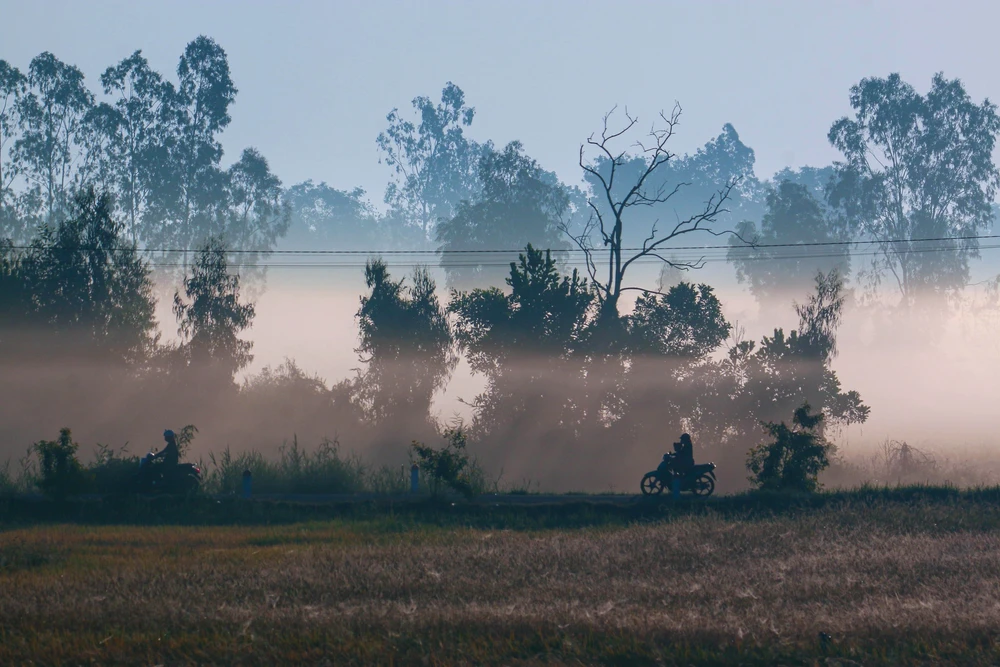 Vẻ đẹp thơ mộng miền quê Cần Thơ trong sương sớm - Ảnh 1.