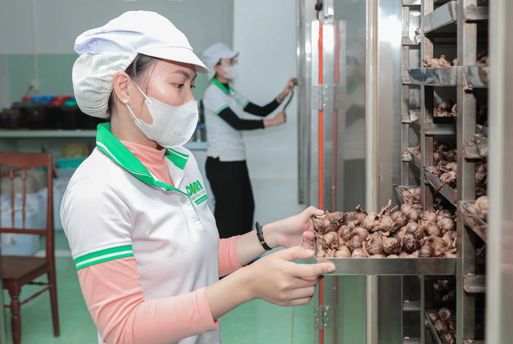 Quảng Ngãi: Ứng dụng công nghệ cao nâng tầm giá trị tỏi Lý Sơn - Ảnh 8.