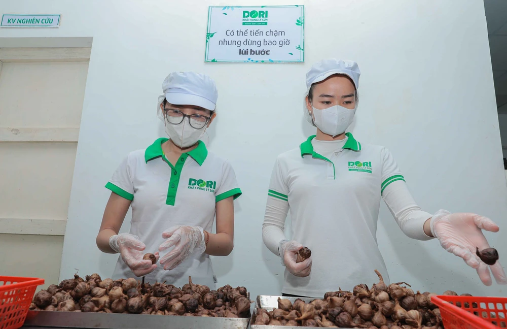 Quảng Ngãi: Ứng dụng công nghệ cao nâng tầm giá trị tỏi Lý Sơn - Ảnh 9.