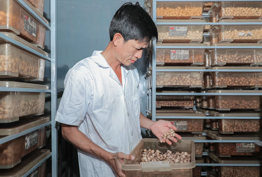 Quảng Ngãi: Ứng dụng công nghệ cao nâng tầm giá trị tỏi Lý Sơn - Ảnh 12.