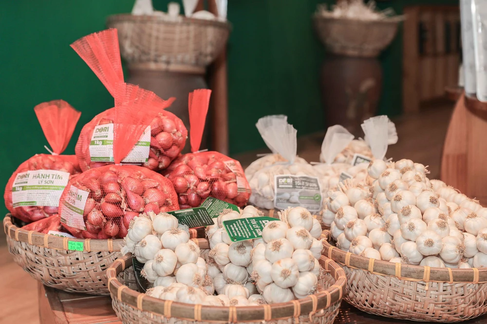 Quảng Ngãi: Ứng dụng công nghệ cao nâng tầm giá trị tỏi Lý Sơn - Ảnh 6.