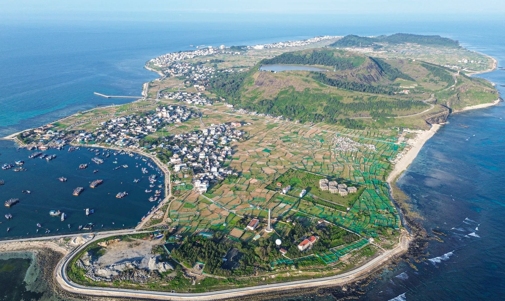 Quảng Ngãi: Ứng dụng công nghệ cao nâng tầm giá trị tỏi Lý Sơn - Ảnh 1.