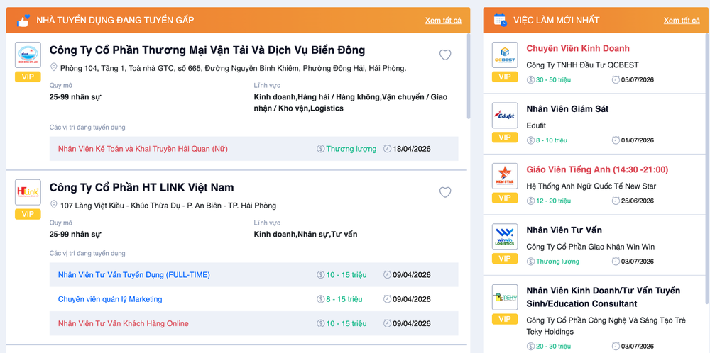 Vieclamhaiphong.edu.vn kênh việc làm Hải Phòng uy tín cho người tìm việc - Ảnh 3.