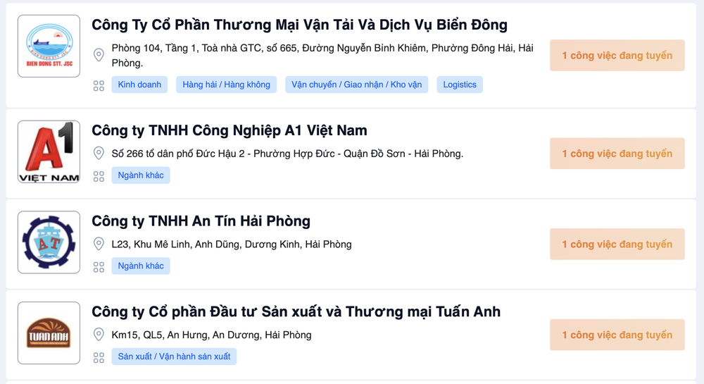 Vieclamhaiphong.edu.vn kênh việc làm Hải Phòng uy tín cho người tìm việc - Ảnh 4.