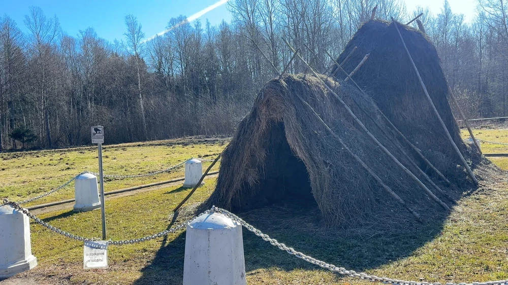 Lều cỏ Lenin ở Razliv – chứng tích về quyết định quan trọng của vị lãnh tụ nước Nga - Ảnh 1.