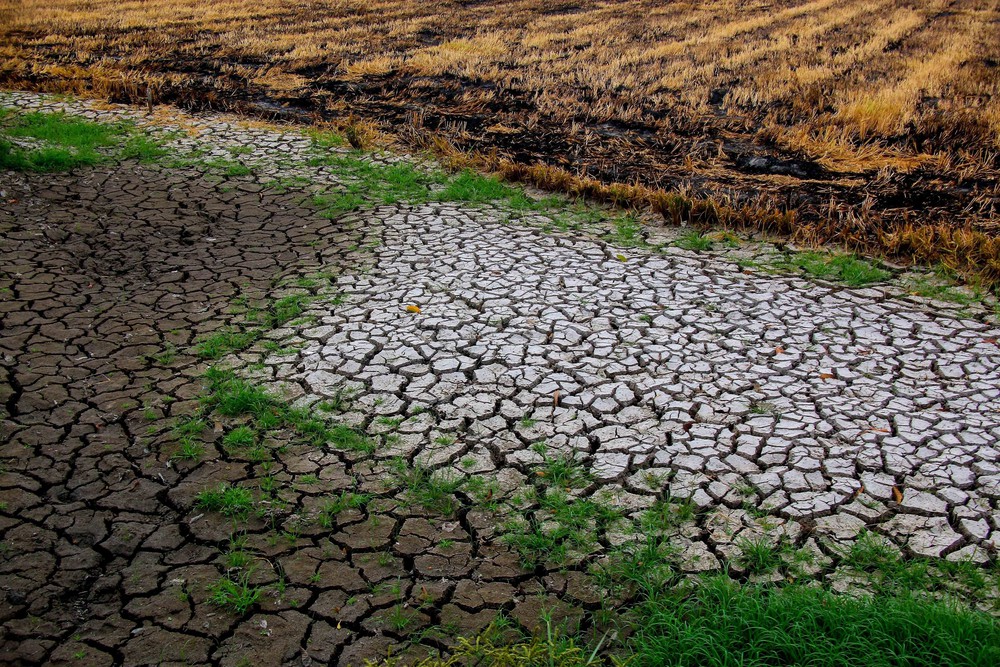 Từ ngày 24/4, nắng nóng diện rộng có khả năng xảy ra ở khu vực Nam Bộ - Ảnh 1.