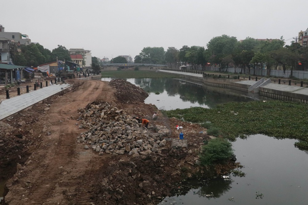 Xác định niên đại của ba cọc gỗ cổ phát hiện tại Ninh Bình - Ảnh 1.