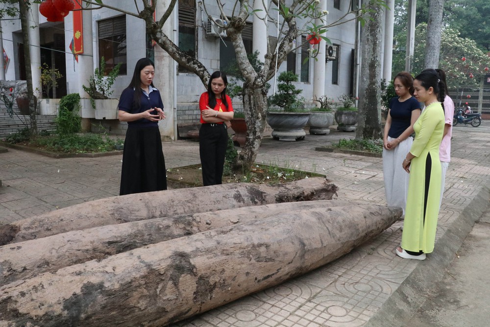 Xác định niên đại của ba cọc gỗ cổ phát hiện tại Ninh Bình - Ảnh 3.