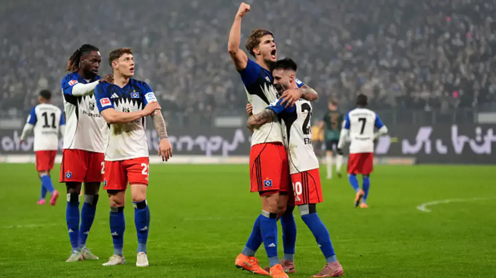 Hamburg vs Hoffenheim